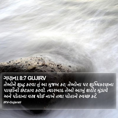 ગણના 8:7 GUJIRV Bible Verse Image
