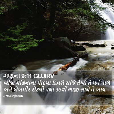 ગણના 9:11 GUJIRV Bible Verse Image