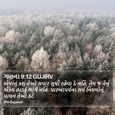 ગણના 9:12 GUJIRV Bible Verse Image