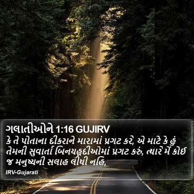 ગલાતીઓને 1:16 GUJIRV Bible Verse Image