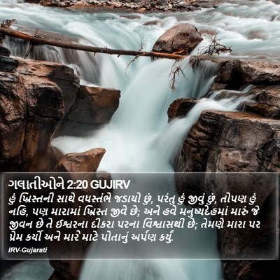 ગલાતીઓને 2:20 GUJIRV Bible Verse Image