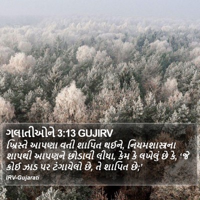 ગલાતીઓને 3:13 GUJIRV Bible Verse Image