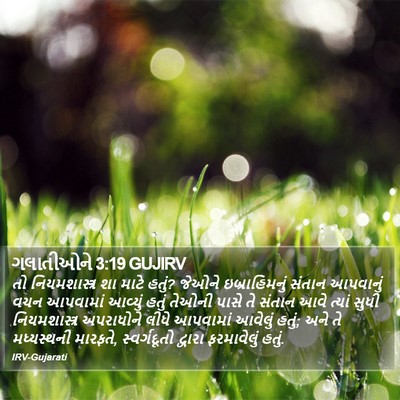 ગલાતીઓને 3:19 GUJIRV Bible Verse Image