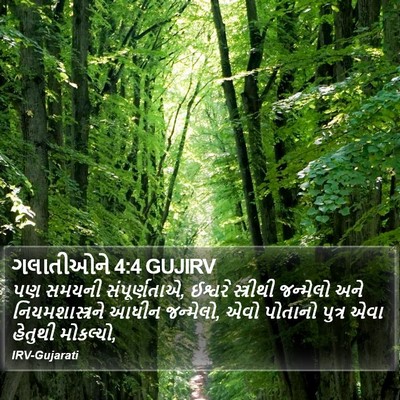 ગલાતીઓને 4:4 GUJIRV Bible Verse Image