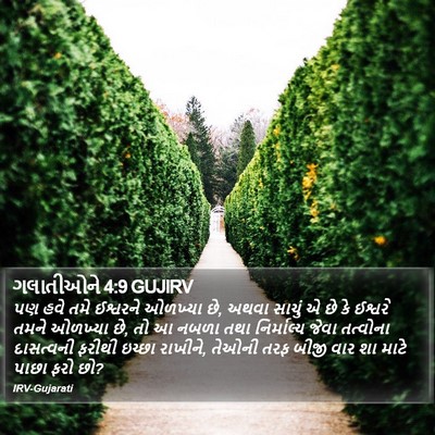 ગલાતીઓને 4:9 GUJIRV Bible Verse Image