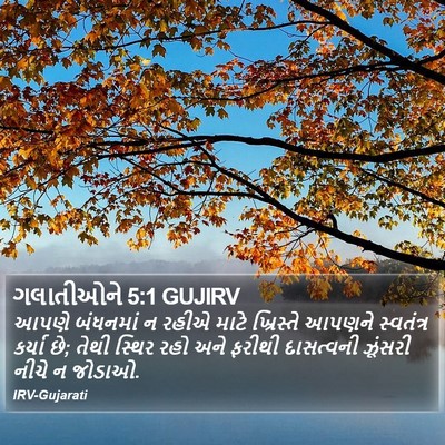 ગલાતીઓને 5:1 GUJIRV Bible Verse Image