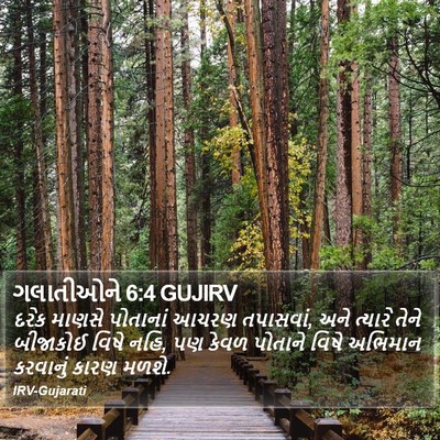 ગલાતીઓને 6:4 GUJIRV Bible Verse Image