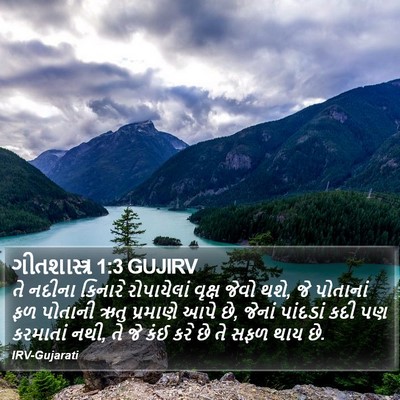 ગીતશાસ્ત્ર 1:3 GUJIRV Bible Verse Image