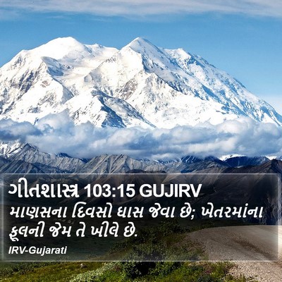 ગીતશાસ્ત્ર 103:15 GUJIRV Bible Verse Image