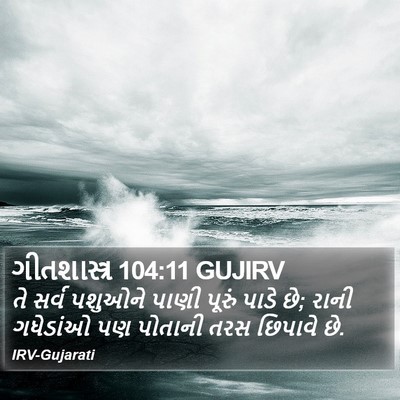 ગીતશાસ્ત્ર 104:11 GUJIRV Bible Verse Image