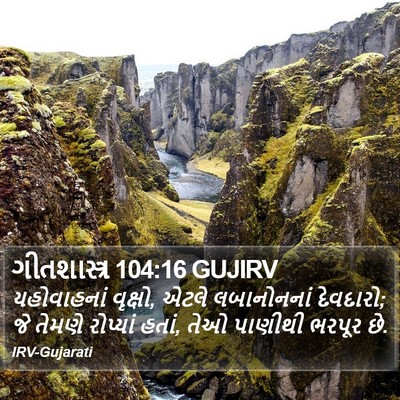 ગીતશાસ્ત્ર 104:16 GUJIRV Bible Verse Image