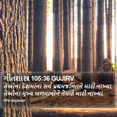 ગીતશાસ્ત્ર 105:36 GUJIRV Bible Verse Image