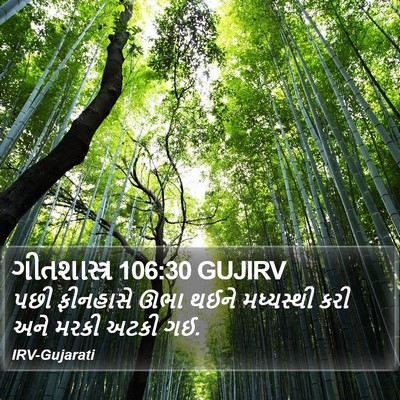 ગીતશાસ્ત્ર 106:30 GUJIRV Bible Verse Image