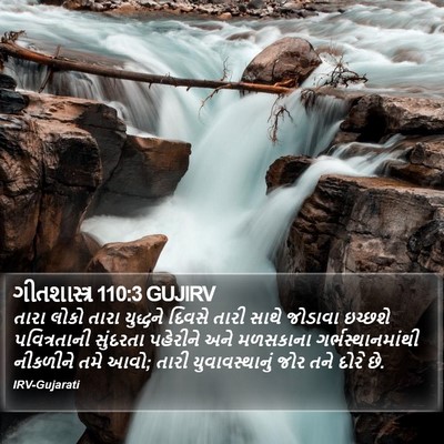 ગીતશાસ્ત્ર 110:3 GUJIRV Bible Verse Image