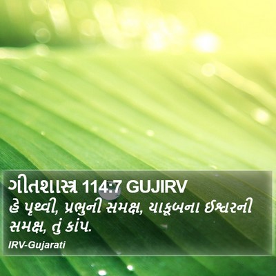 ગીતશાસ્ત્ર 114:7 GUJIRV Bible Verse Image
