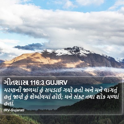 ગીતશાસ્ત્ર 116:3 GUJIRV Bible Verse Image