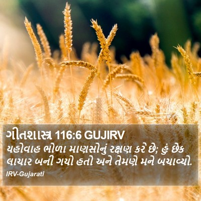 ગીતશાસ્ત્ર 116:6 GUJIRV Bible Verse Image