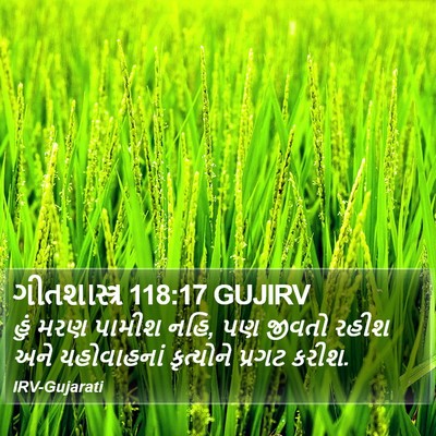 ગીતશાસ્ત્ર 118:17 GUJIRV Bible Verse Image