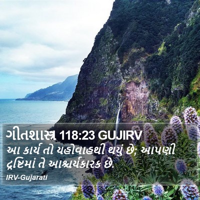 ગીતશાસ્ત્ર 118:23 GUJIRV Bible Verse Image