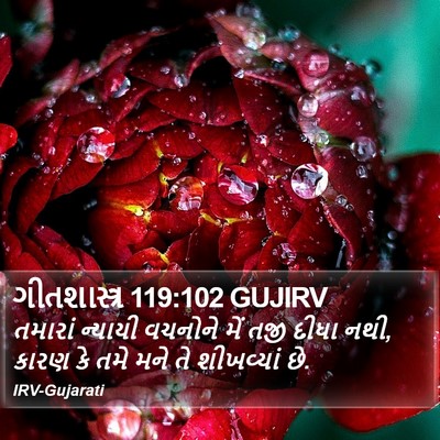 ગીતશાસ્ત્ર 119:102 GUJIRV Bible Verse Image