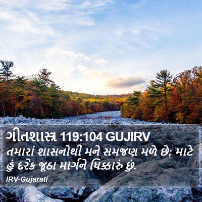 ગીતશાસ્ત્ર 119:104 GUJIRV Bible Verse Image