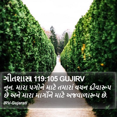 ગીતશાસ્ત્ર 119:105 GUJIRV Bible Verse Image