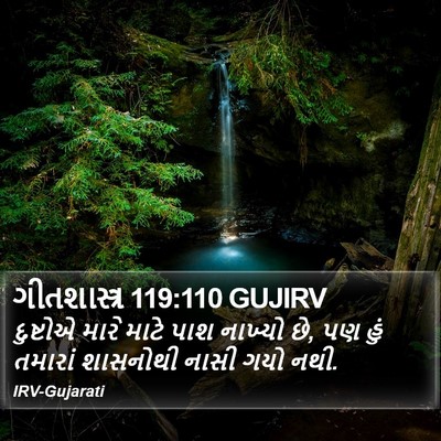ગીતશાસ્ત્ર 119:110 GUJIRV Bible Verse Image