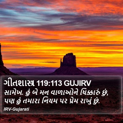 ગીતશાસ્ત્ર 119:113 GUJIRV Bible Verse Image