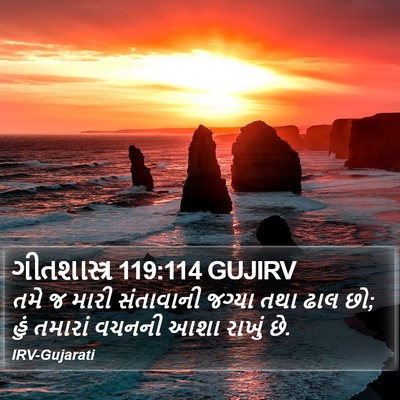ગીતશાસ્ત્ર 119:114 GUJIRV Bible Verse Image