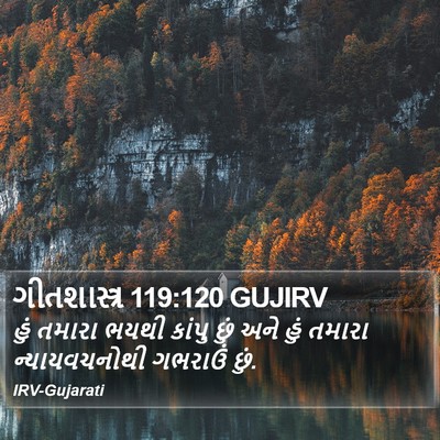 ગીતશાસ્ત્ર 119:120 GUJIRV Bible Verse Image
