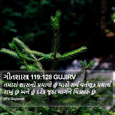 ગીતશાસ્ત્ર 119:128 GUJIRV Bible Verse Image