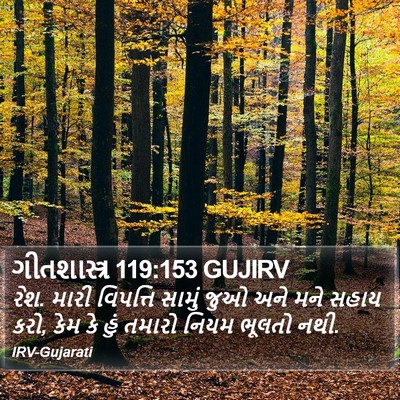 ગીતશાસ્ત્ર 119:153 GUJIRV Bible Verse Image
