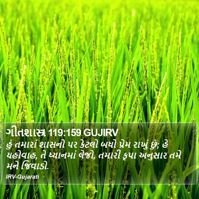 ગીતશાસ્ત્ર 119:159 GUJIRV Bible Verse Image