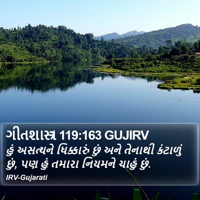 ગીતશાસ્ત્ર 119:163 GUJIRV Bible Verse Image