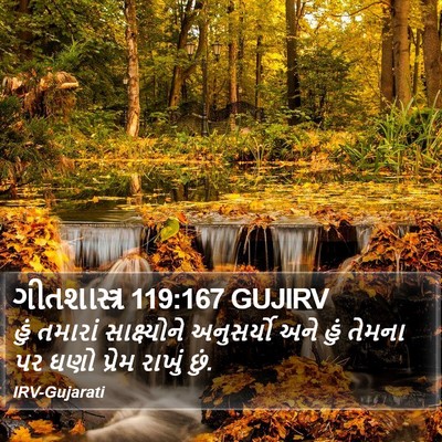 ગીતશાસ્ત્ર 119:167 GUJIRV Bible Verse Image