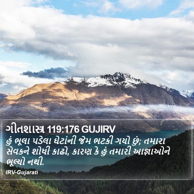 ગીતશાસ્ત્ર 119:176 GUJIRV Bible Verse Image