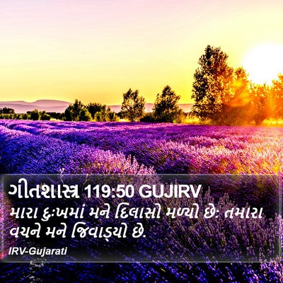ગીતશાસ્ત્ર 119:50 GUJIRV Bible Verse Image