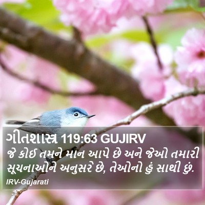 ગીતશાસ્ત્ર 119:63 GUJIRV Bible Verse Image