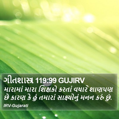 ગીતશાસ્ત્ર 119:99 GUJIRV Bible Verse Image