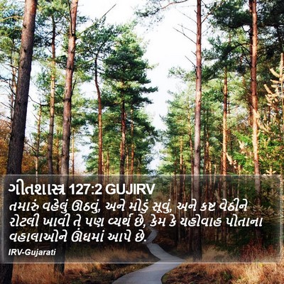 ગીતશાસ્ત્ર 127:2 GUJIRV Bible Verse Image