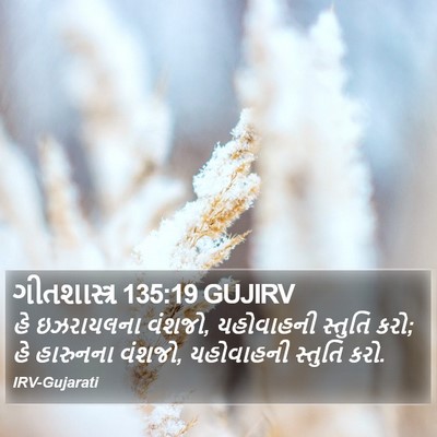 ગીતશાસ્ત્ર 135:19 GUJIRV Bible Verse Image