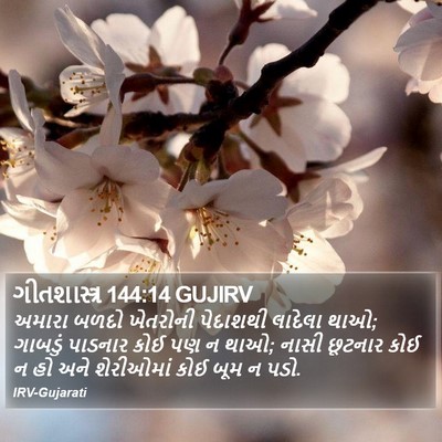 ગીતશાસ્ત્ર 144:14 GUJIRV Bible Verse Image