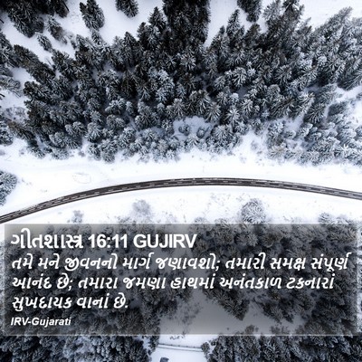 ગીતશાસ્ત્ર 16:11 GUJIRV Bible Verse Image