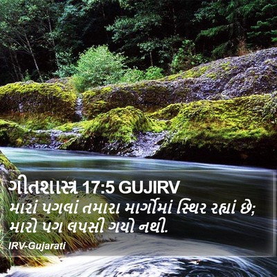 ગીતશાસ્ત્ર 17:5 GUJIRV Bible Verse Image