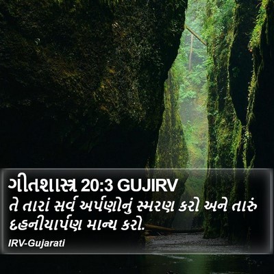 ગીતશાસ્ત્ર 20:3 GUJIRV Bible Verse Image
