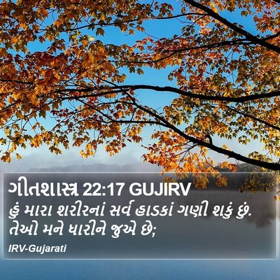 ગીતશાસ્ત્ર 22:17 GUJIRV Bible Verse Image