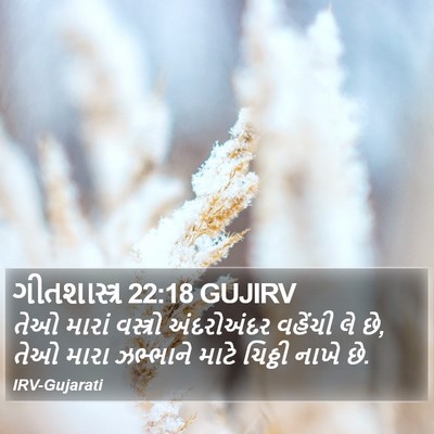 ગીતશાસ્ત્ર 22:18 GUJIRV Bible Verse Image