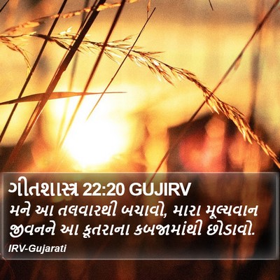 ગીતશાસ્ત્ર 22:20 GUJIRV Bible Verse Image