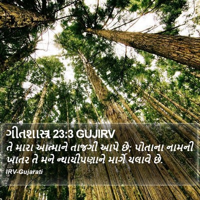 ગીતશાસ્ત્ર 23:3 GUJIRV Bible Verse Image