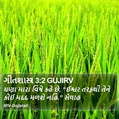 ગીતશાસ્ત્ર 3:2 GUJIRV Bible Verse Image